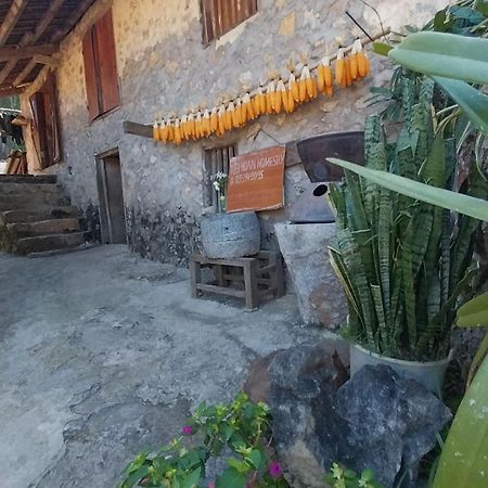 Trieu Hoan Homestay 高平 外观 照片