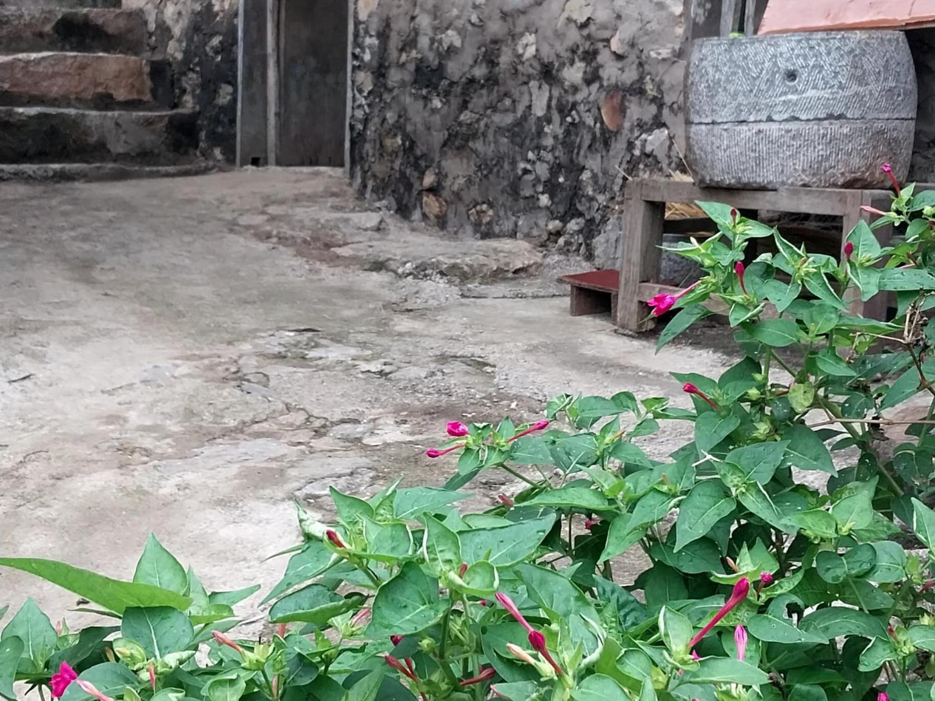 Trieu Hoan Homestay 高平 外观 照片