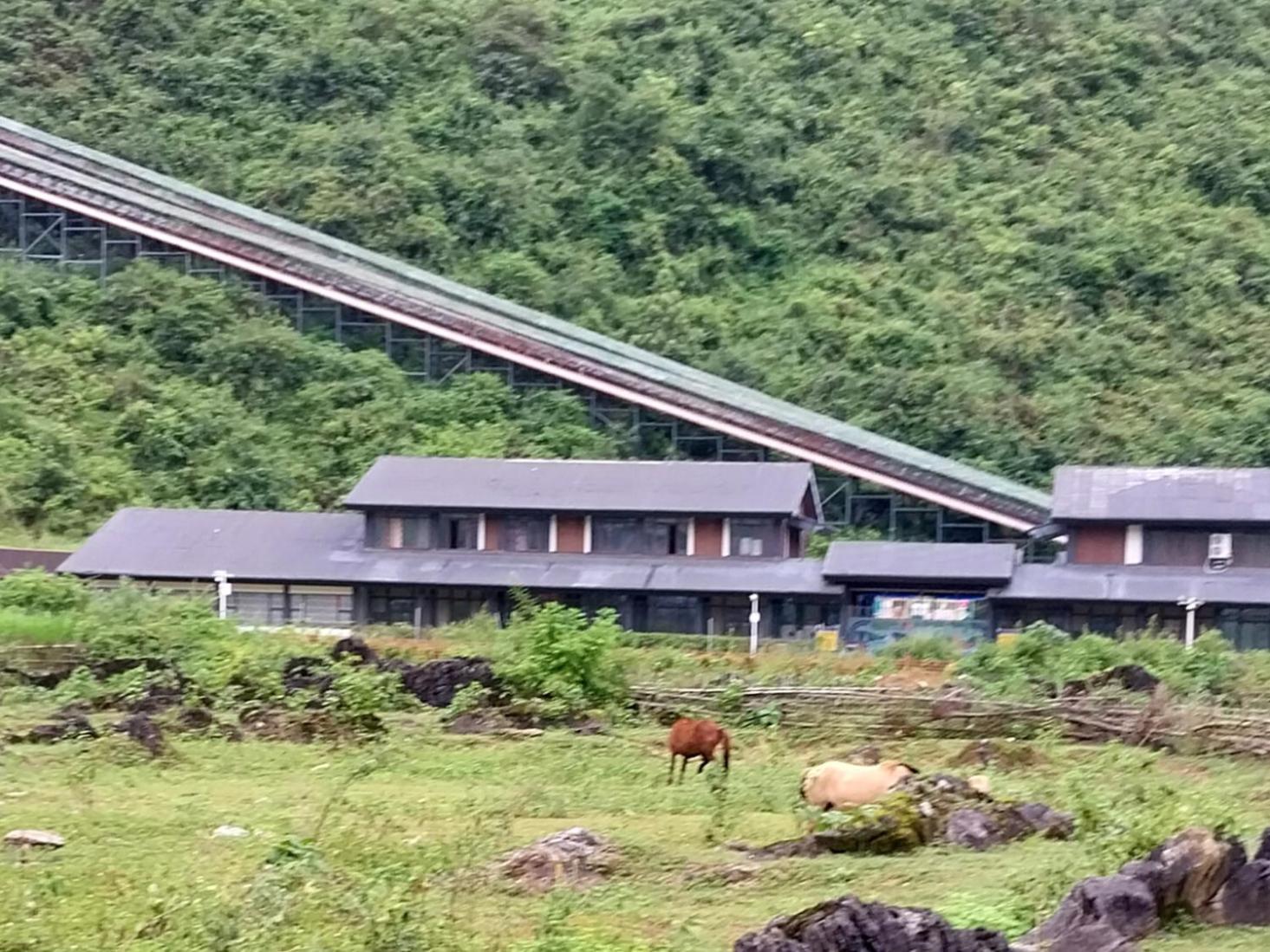 Trieu Hoan Homestay 高平 外观 照片